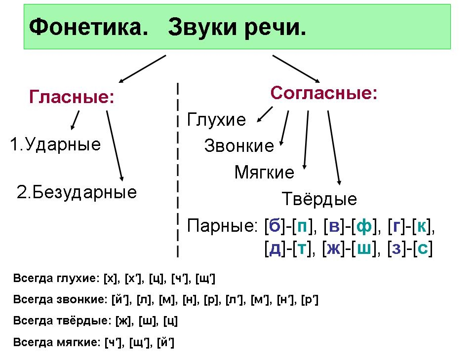 Какие бывают звуки презентация