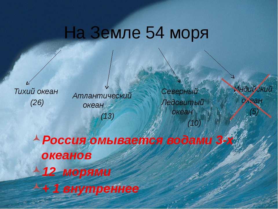 Омывается морями трех океанов