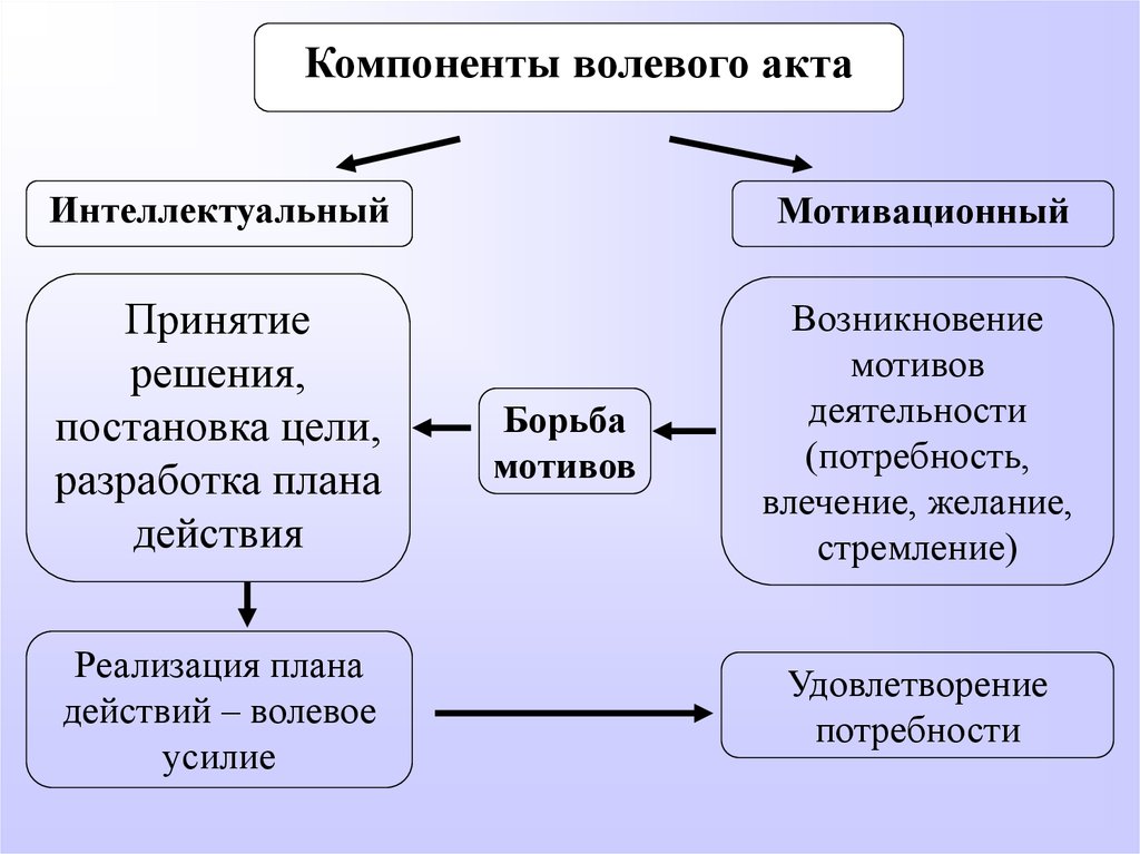 Функции волевых действий схема