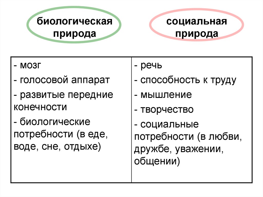 Способность строить планы на будущее социальная природа или биологическая