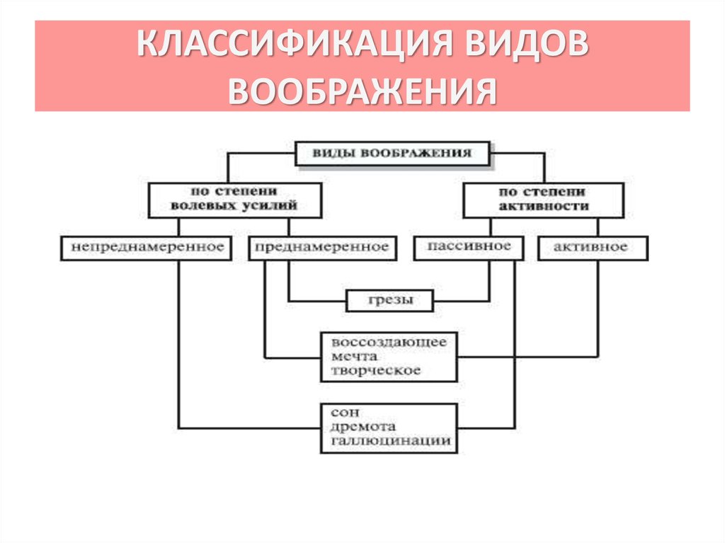 Схема воображение в психологии