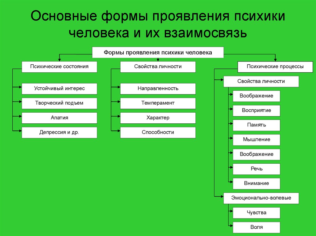 Особенности психики человека презентация