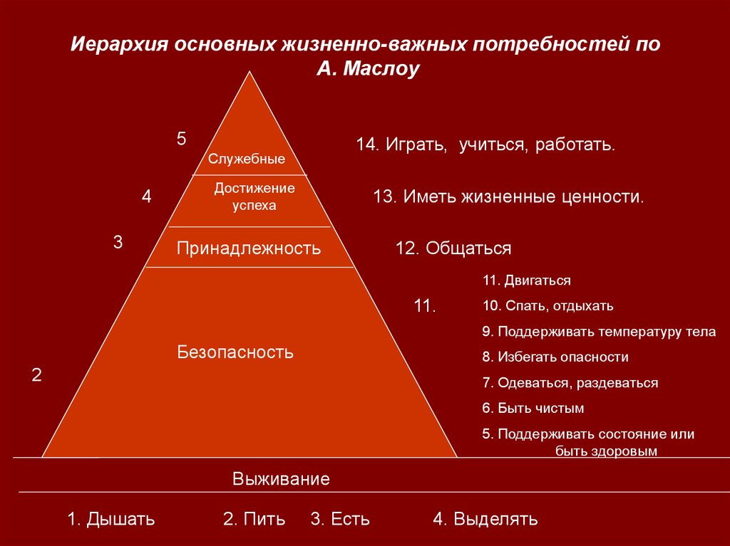 Здоровье в иерархии потребностей и ценностей культурного человека презентация