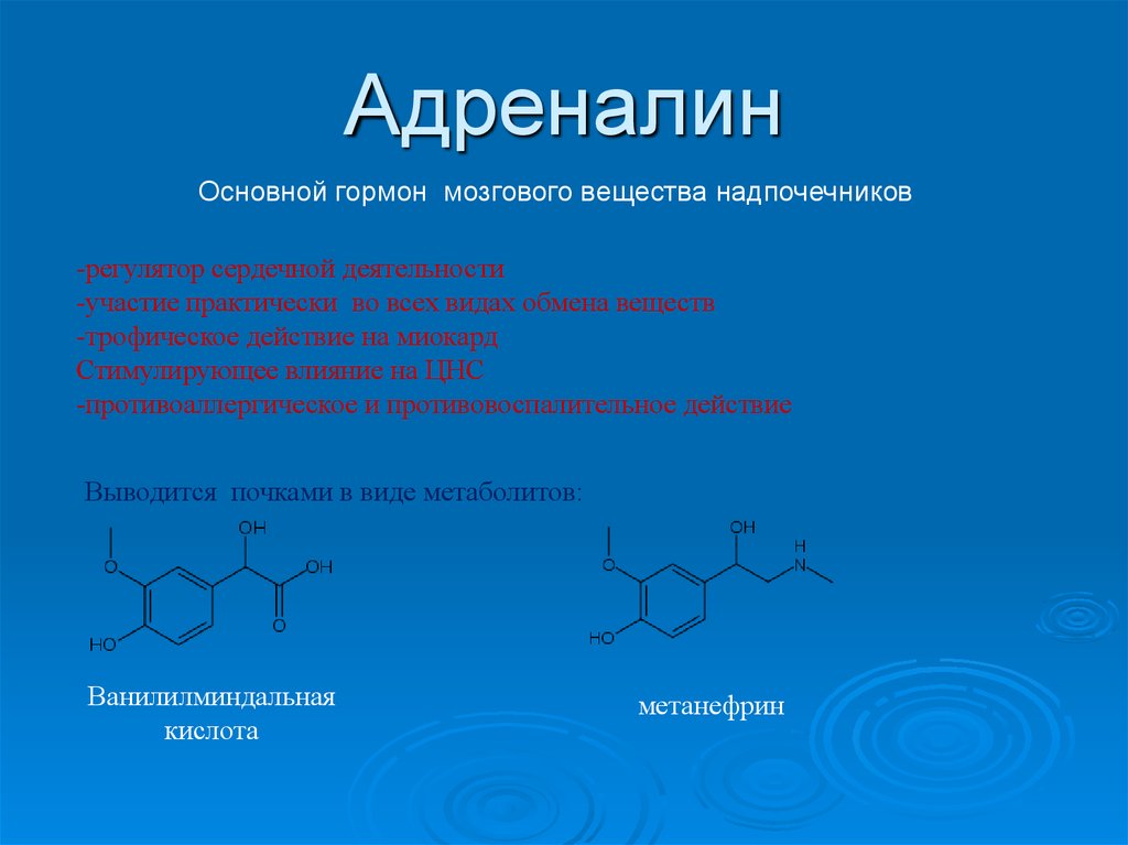 Презентация на тему адреналин