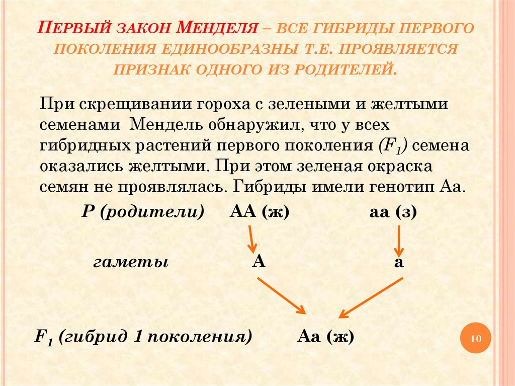 В чем суть правила единообразия гибридов первого поколения проиллюстрируйте свой ответ схемой