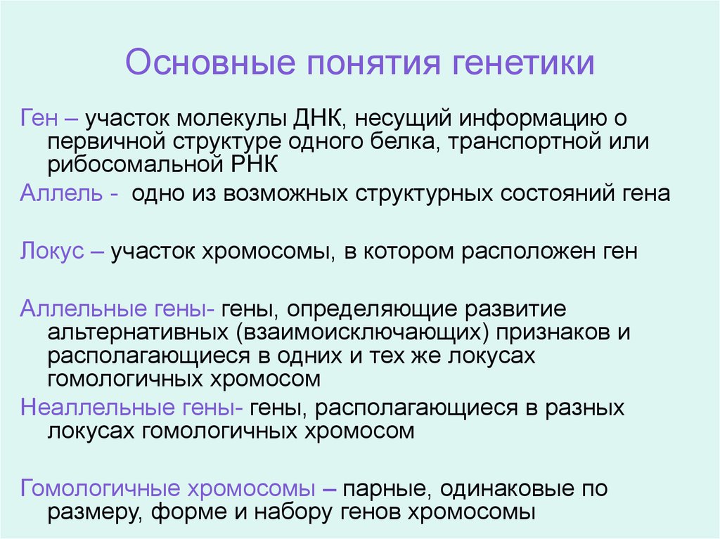 Любой генотип любого организма. Понятие генетика биология 9 класс. Основные понятия генетика 9 класс биология. Генетика биология 9 класс термины. Основные понятые в генеткие.