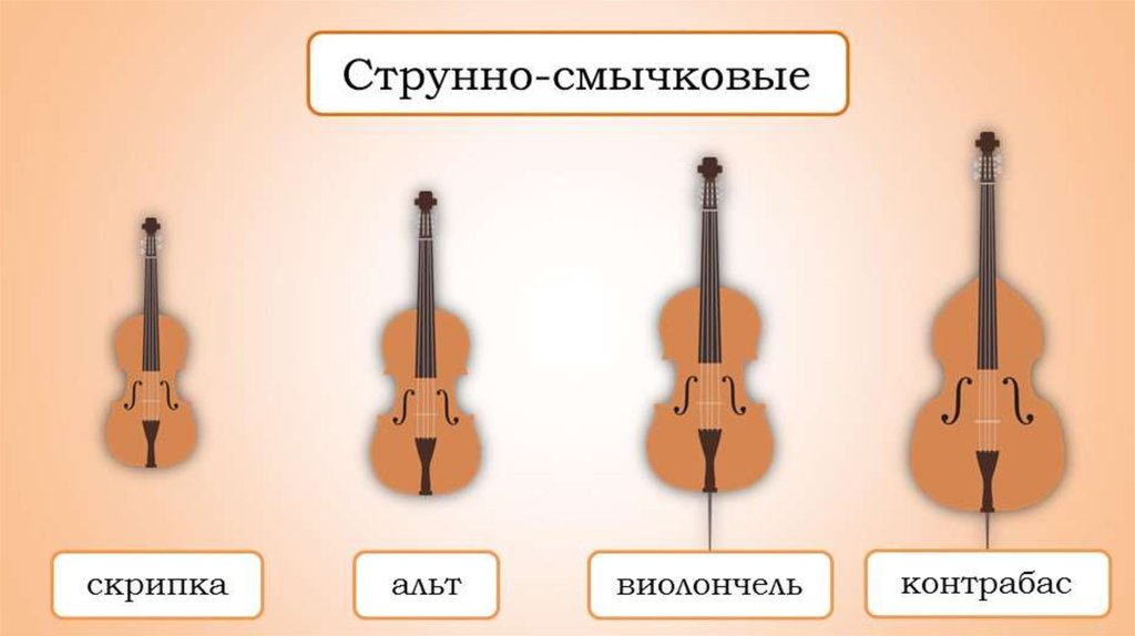 Струнно Смычковые Инструменты Презентация