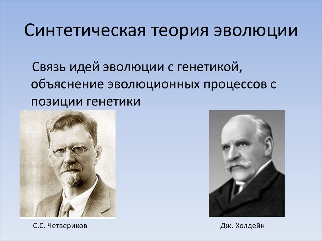 Кто является автором проекта здравосозидающая школа