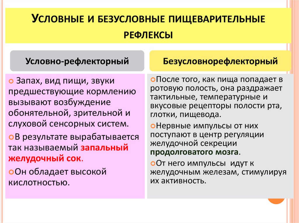 Безусловные рефлексы презентация