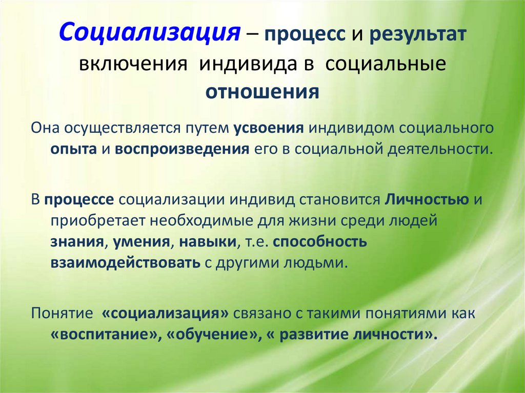 Проблемы социализации молодежи в современных условиях проект