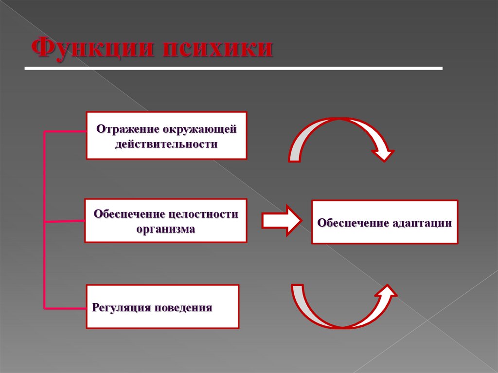 Психика человека основные функции. Ведущая система обеспечения целостности организма. Обеспечение целостности организма в психологии. Отражение окружающей действительности. Основу целостности организма составляет.