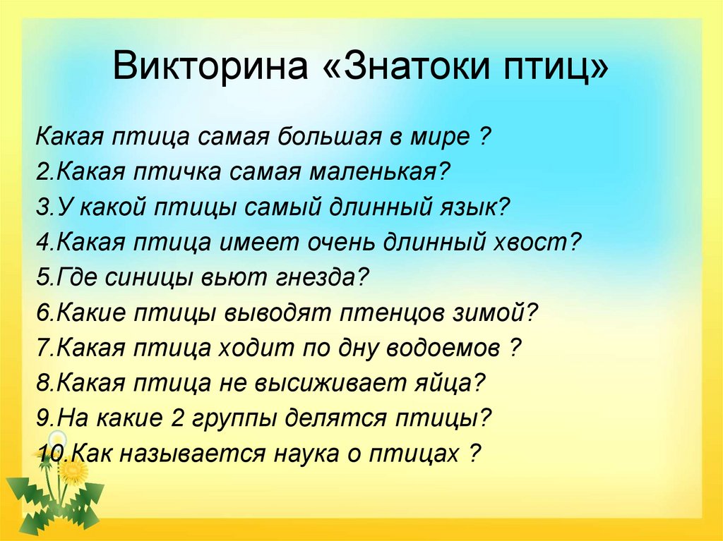 Викторина по птицам для начальной школы с презентацией