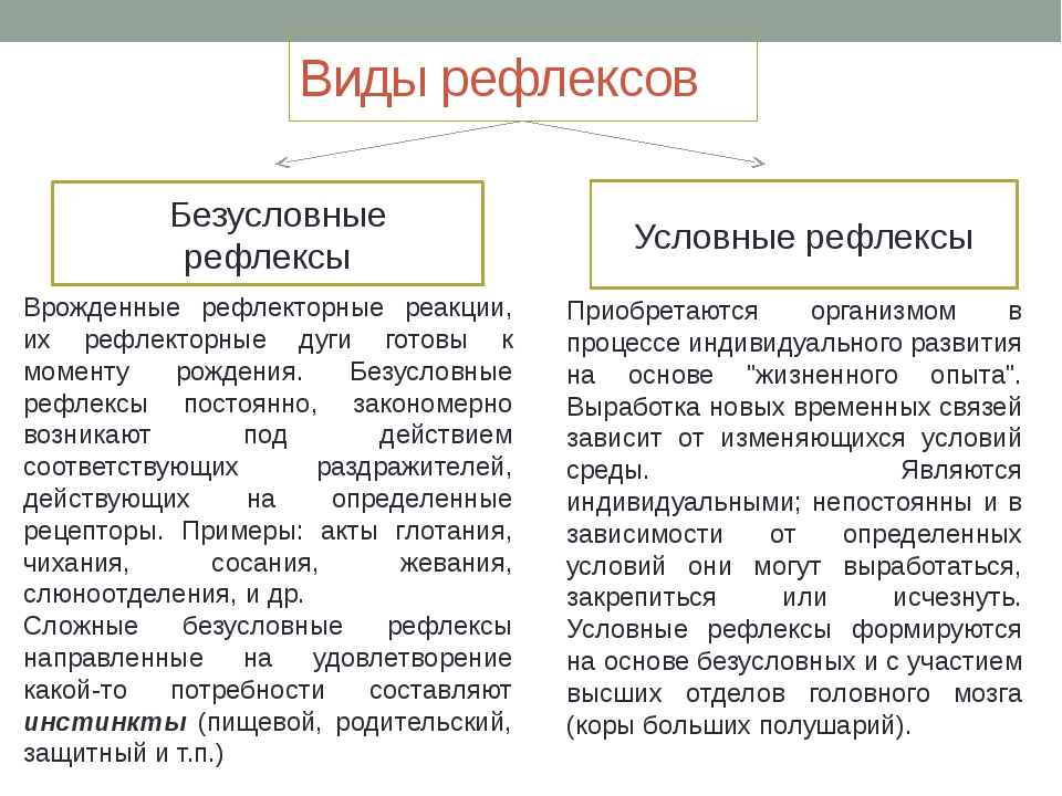 Презентация безусловные и условные рефлексы 8 класс