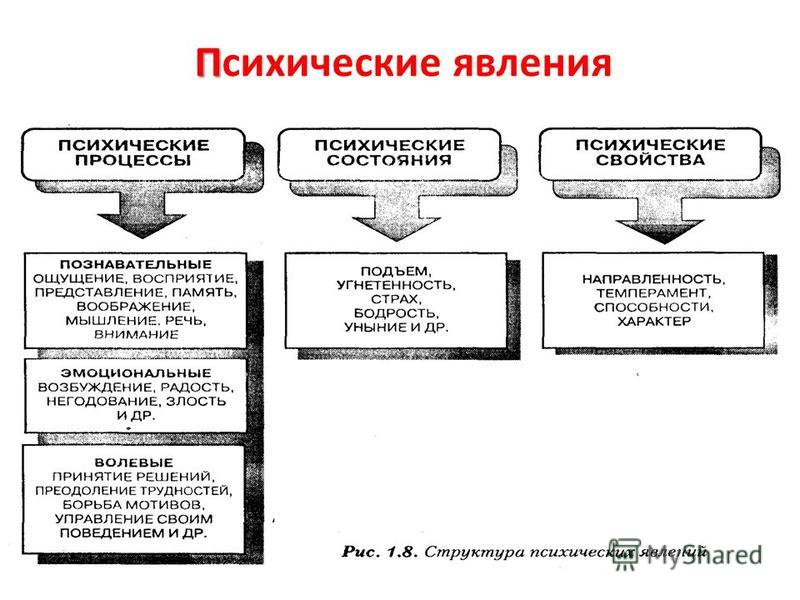 Матрицы образцы восприятия и поведения для наиболее часто повторяющихся ситуаций