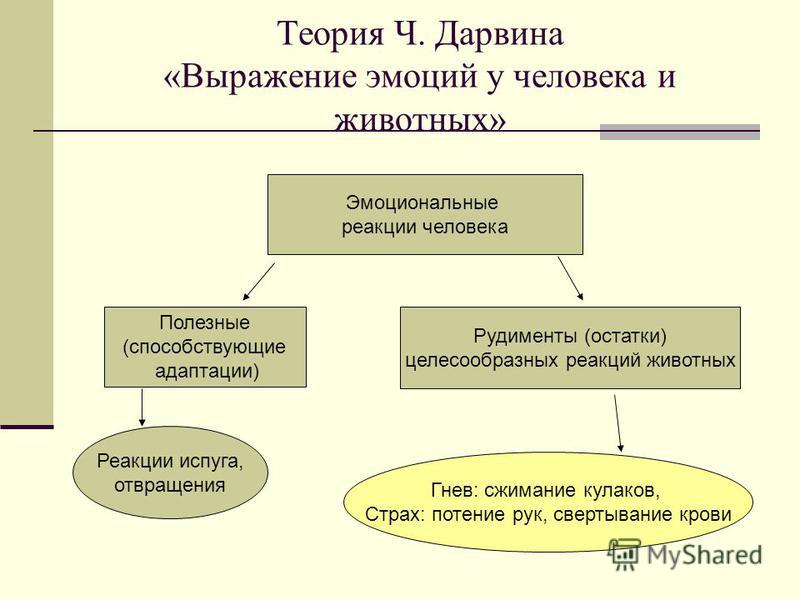 Отличия эмоций человека от эмоций животного. Теория эмоций Дарвина.