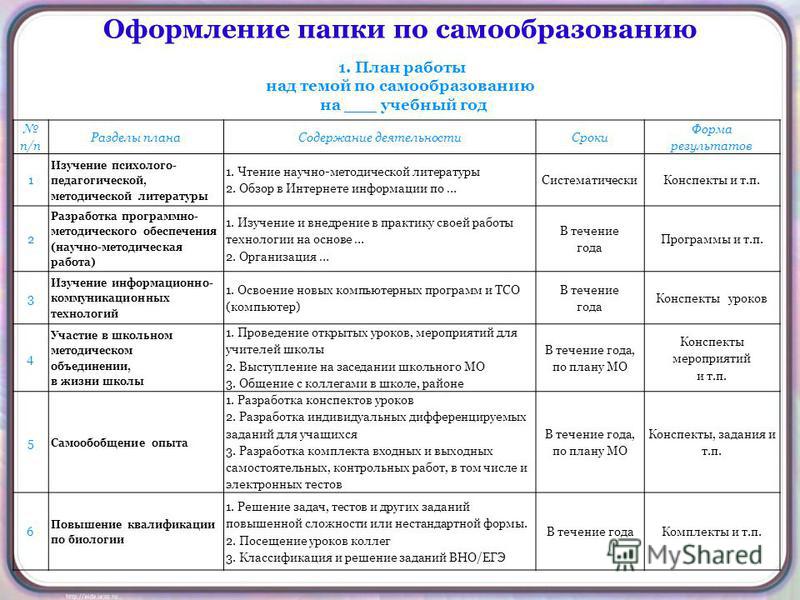 Образец воспитательной программы