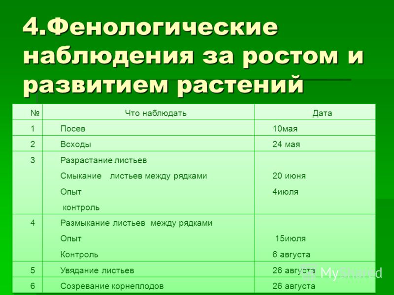 Наблюдение за растениями биология 5 класс