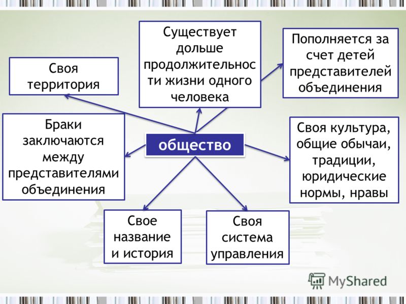 Проект человек в обществе