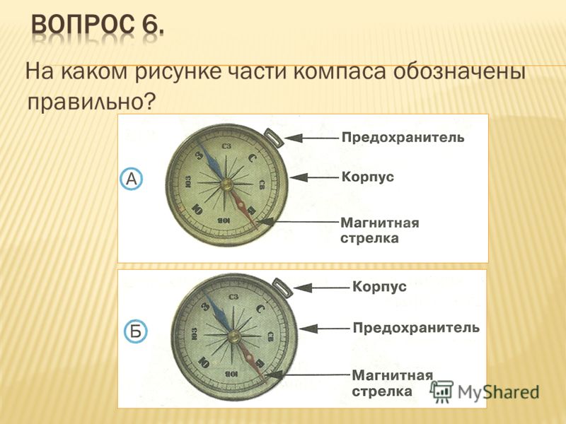 Схема видов компас