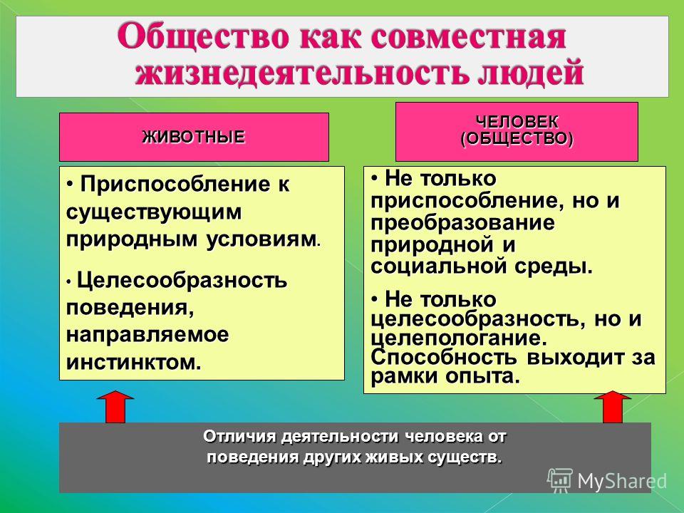 План общество как совместная жизнедеятельность людей план