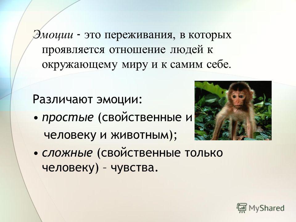 Тема эмоции. Отношение человека к окружающему миру. Эмоции человека презентация. Презентация на тему эмоции и чувства. Эмоции это в биологии.