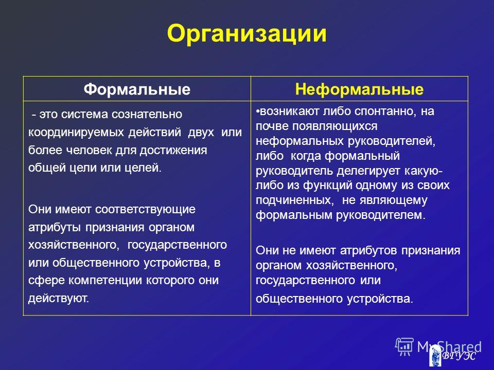 Неформальные социальные группы всегда имеют лидера цель и план