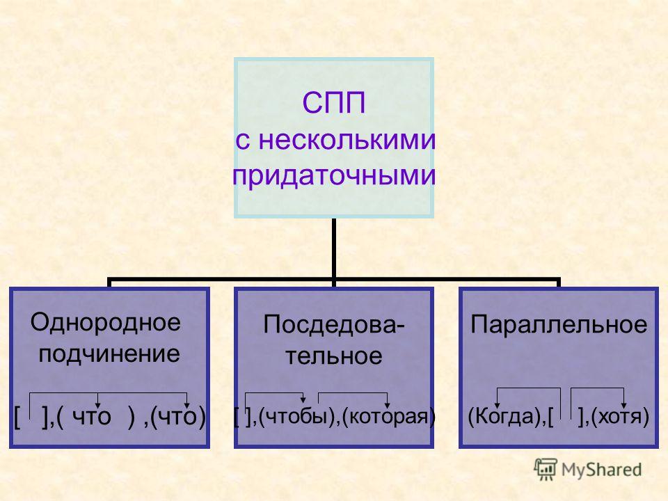 Придаточная связь. Виды ССП С несколькими прид.. Виды подчинения придаточных предложений. СПП С несколькими придаточными. Виды связи придаточных.