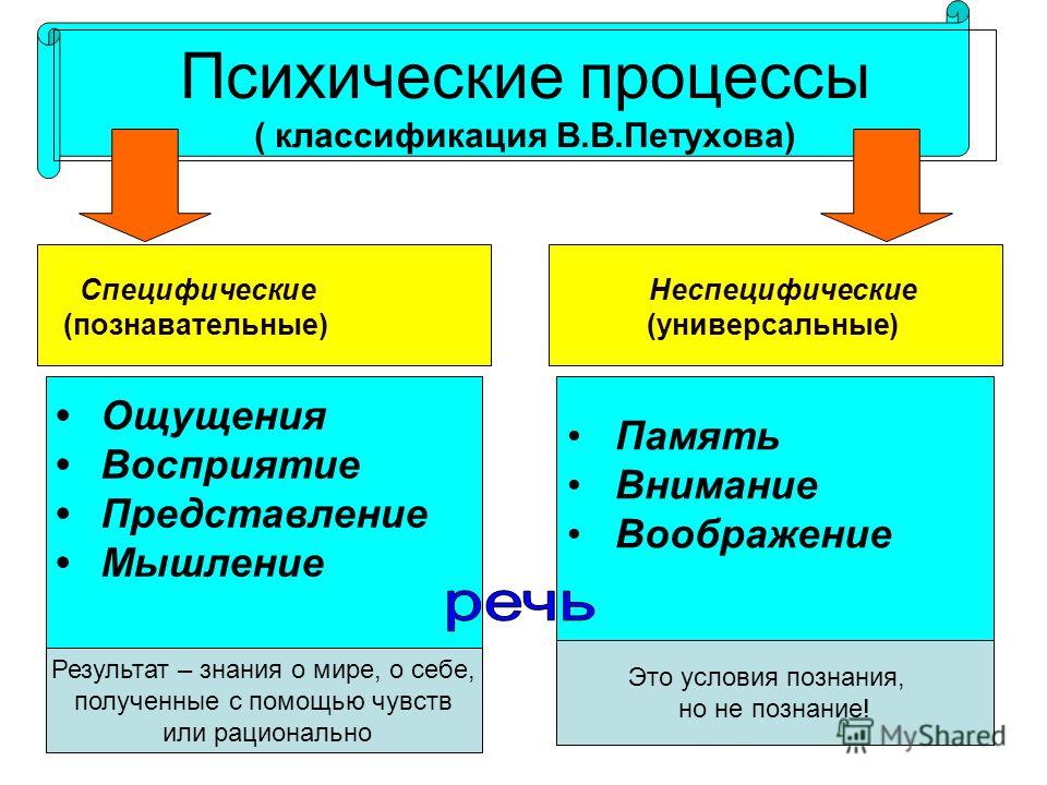 Охарактеризуйте психические процессы. Психические процессы. Психологические процессы. Биопсихические процессы.