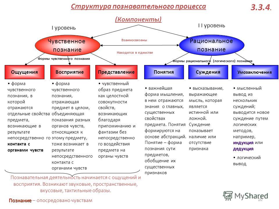 Познавательные процессы схема