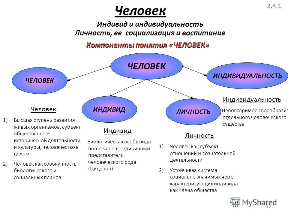 Человек индивид личность взаимосвязь понятий проект