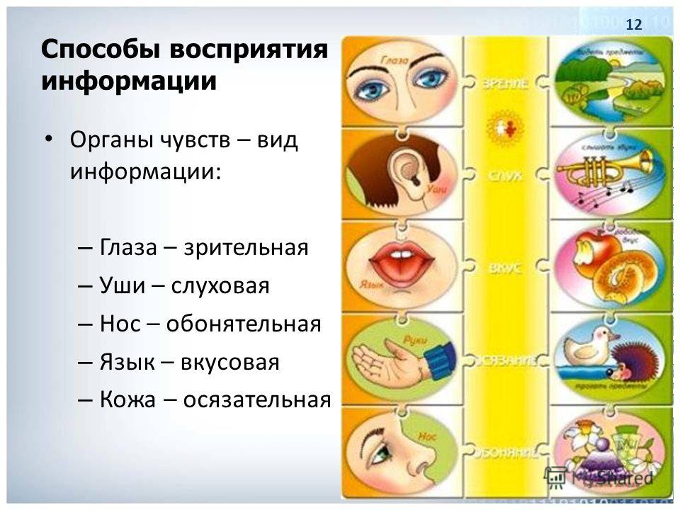 Схема восприятия информации