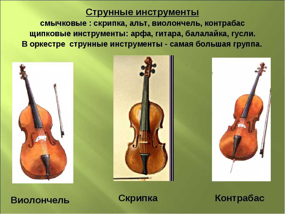 Рисунок струнные смычковые инструменты