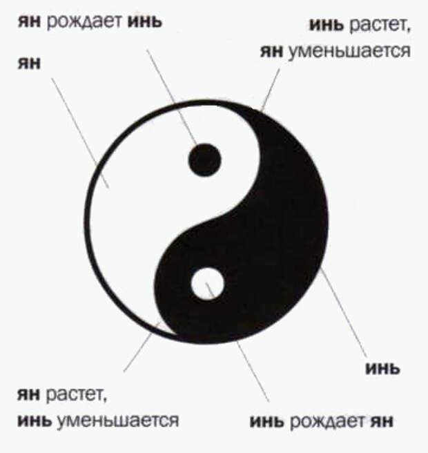 Что значит черный круг. Символ китайской философии Инь-Янь.