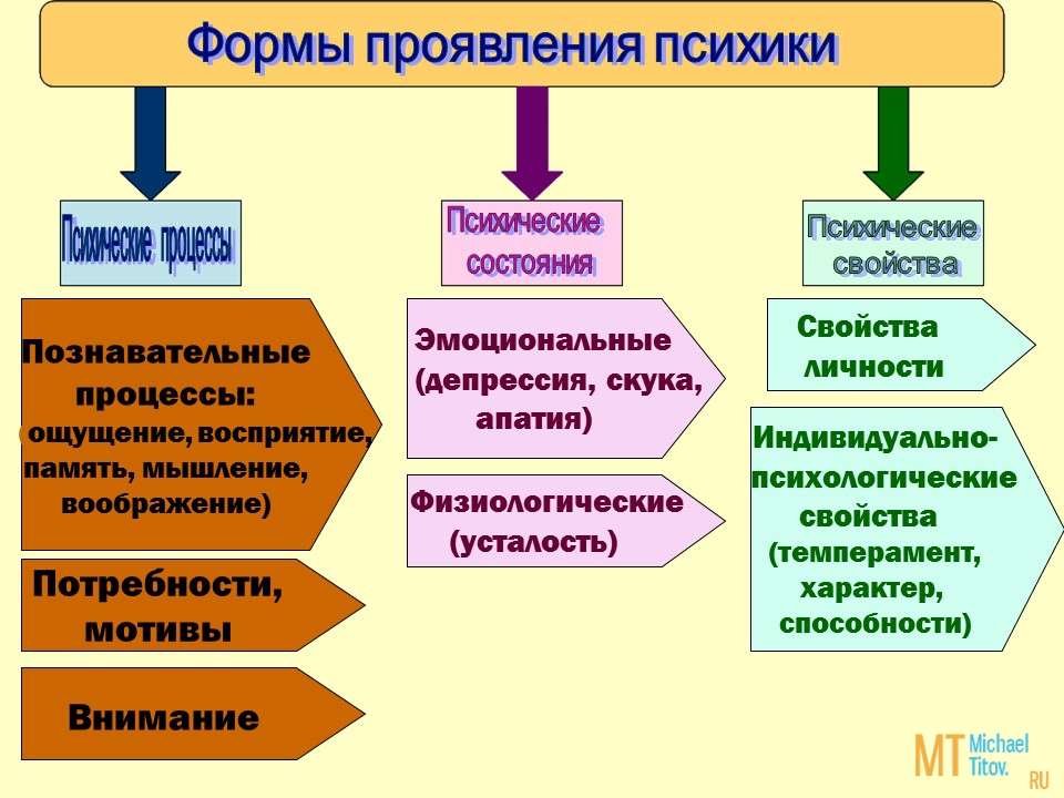 Схема психологические процессы свойства и состояния