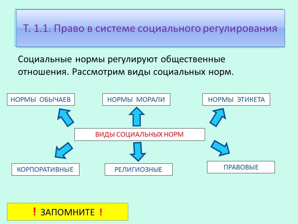 План социальные права