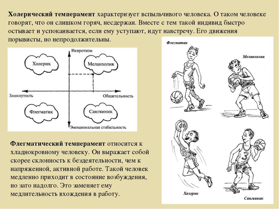 Соотношение характера и темперамента в психологии презентация