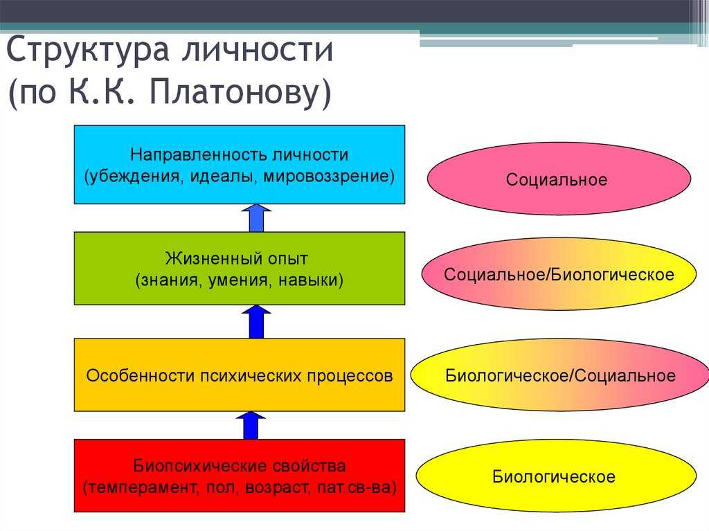 Укажите уровни уровневой классификации черт согласно г олпорту схема 1 уровень