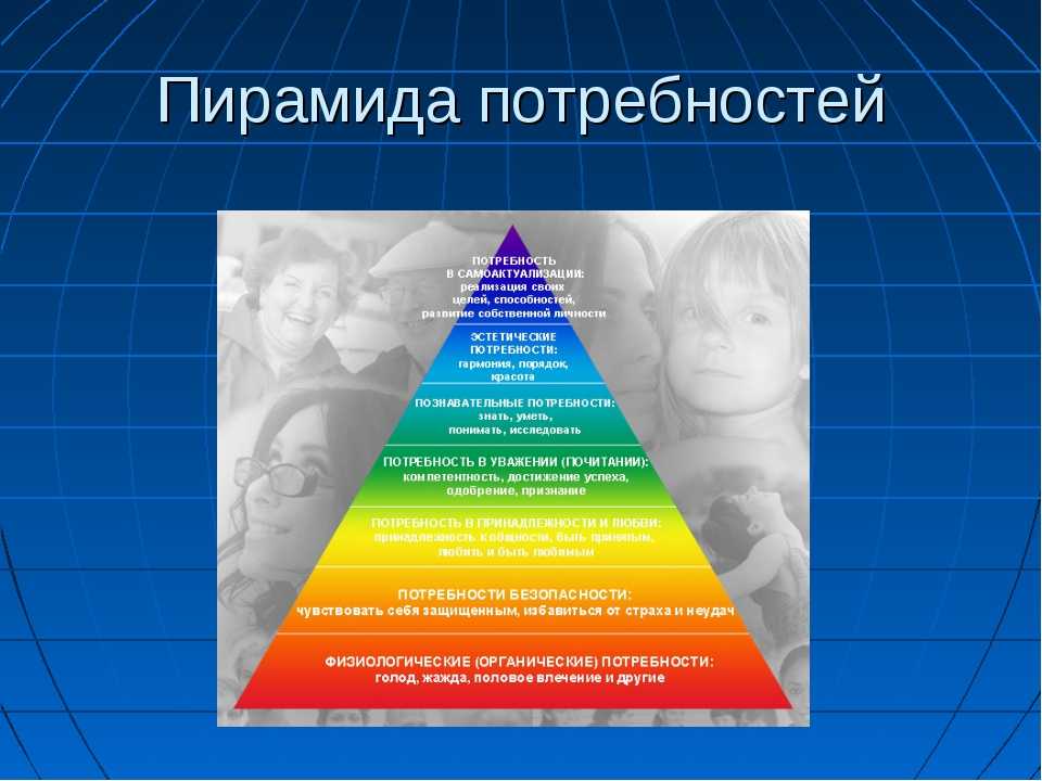 Животные и материальные потребности человека презентация технология 5 класс