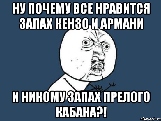 Нравится запах другого человека. Нравится запах. Прелый запах. Почему Нравится запах человека. Не Нравится запах.