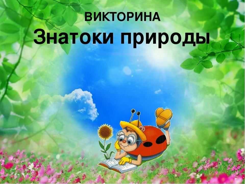 Экологическая игра для начальной школы презентация