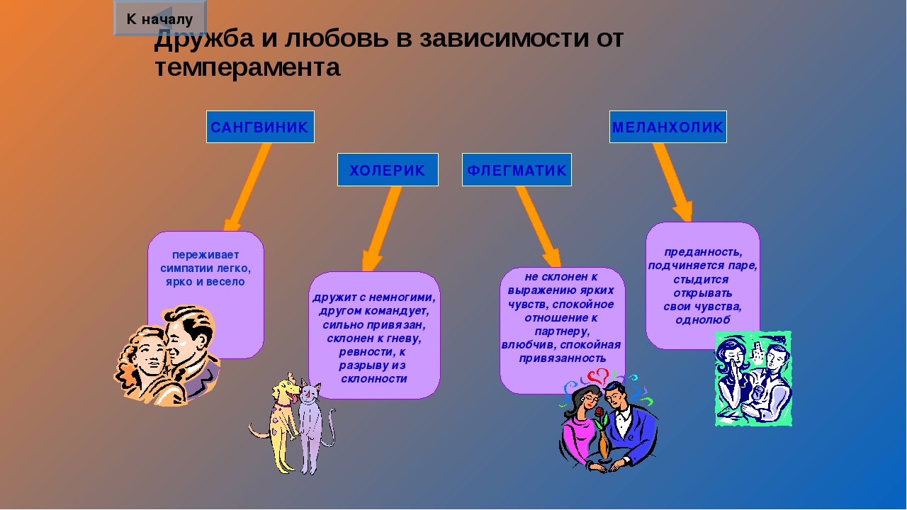 Темперамент деген не презентация